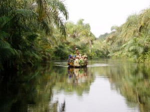 Adjarra pirogue sur marigot  